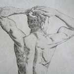 Study of Mans Back