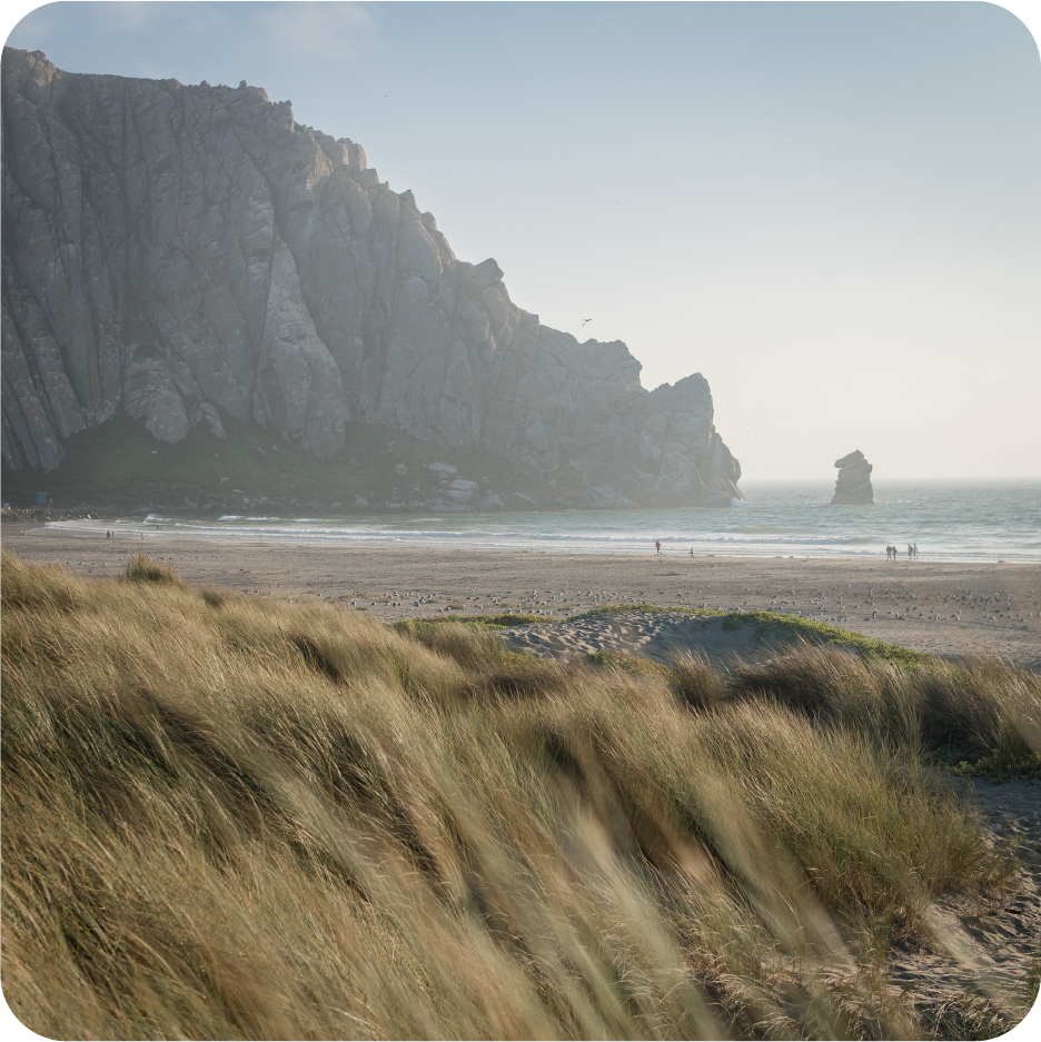 Central Coast Shoreline