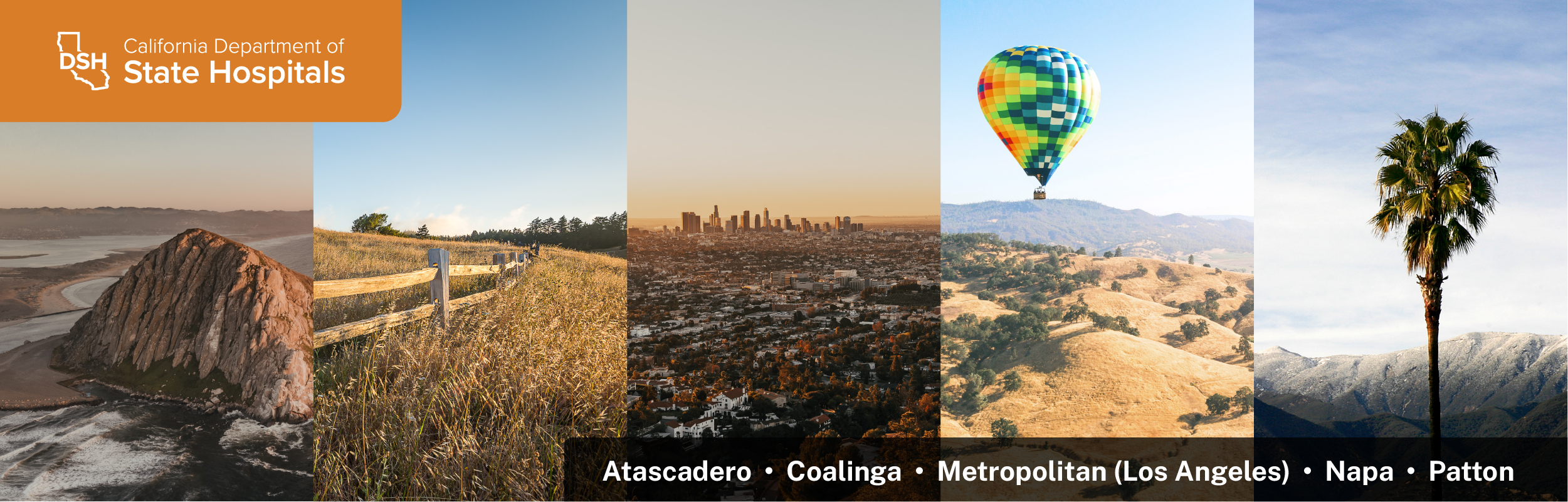 beach and rock, field, city skyline, hot air balloon, palm tree