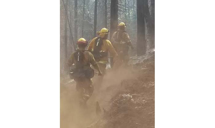 Firefighters