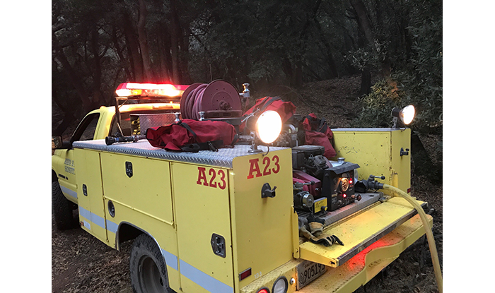 Fire Truck in the Forest